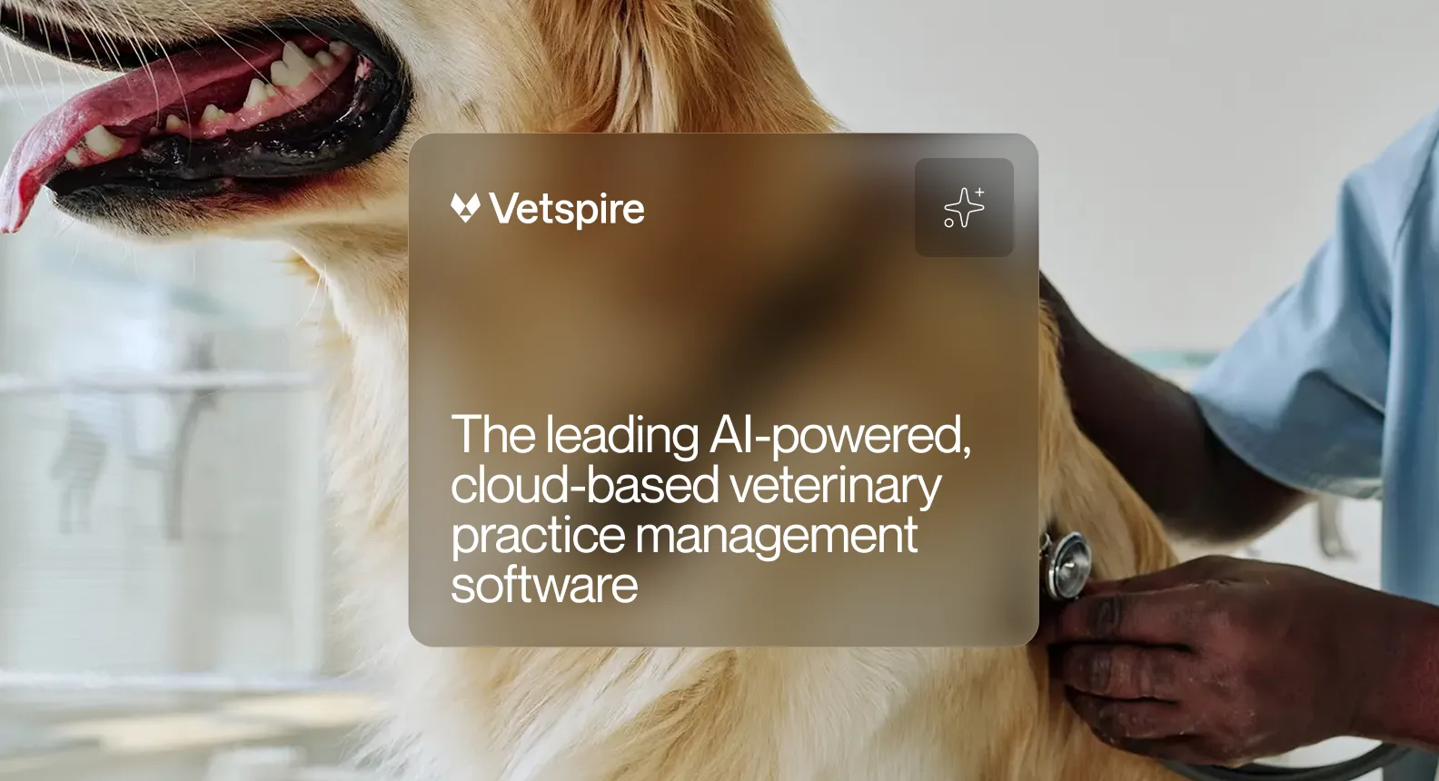 Vetspire — screen 1 of 3